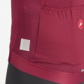 Herren Trofeo Giro d'Italia 2024 Trikot-Bordeaux Herren Trofeo Giro d'Italia 2024 Trikot-Bordeaux