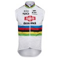 Herren Kalas Alpecin Deceuninck 2024 Weste-WC