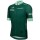 Herren Tour de France 2024 Fan Line Grun trikot