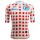 Herren Trikot Santini Punkte Tour de France 2025 Offiziell