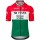 Herren Team Visma Lease a bike 2025 trikot-Ungarischen Meister