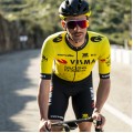 Herren Team Visma Lease a bike 2025 trikot