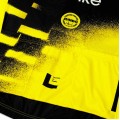 Herren Team Visma Lease a bike 2025 The Wingbeat trikot Herren Team Visma Lease a bike 2025 The Wingbeat trikot