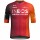 Herren Gobik Ineos Grenadiers 2025 Reactive 2.0 trikot