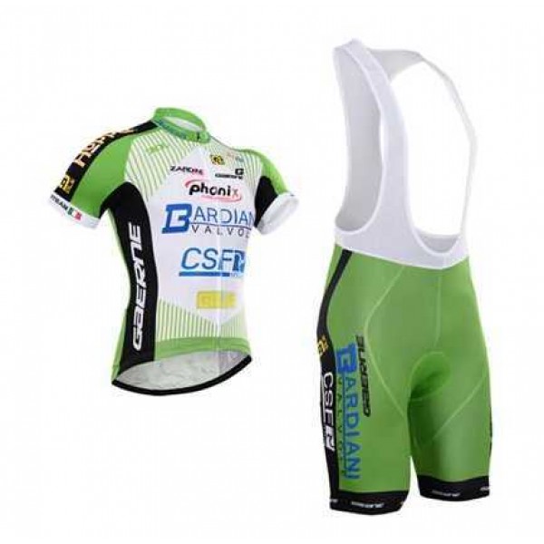 2015 Bardiani Csf Fahrradbekleidung Radteamtrikot Kurzarm+Kurz Radhose Kaufen YTOCH 2015 Bardiani Csf Fahrradbekleidung Radteamtrikot Kurzarm+Kurz Radhose Kaufen YTOCH