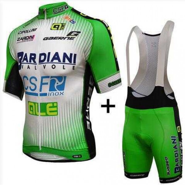 2016 BARDIANI CSF PRR Fahrradbekleidung Radtrikot Kurzarm+Kurz Radhose Bib MTG2B 2016 BARDIANI CSF PRR Fahrradbekleidung Radtrikot Kurzarm+Kurz Radhose Bib MTG2B