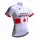2017 Ag2r Fahrradtrikot Radsport 4DPPT