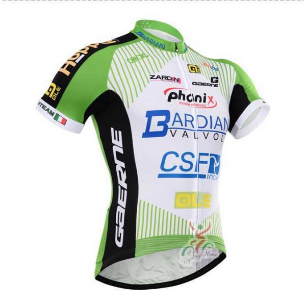 2015 Bardiani Csf Fahrradtrikot Radsport CNPTT 2015 Bardiani Csf Fahrradtrikot Radsport CNPTT
