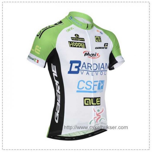 Bardiani CSF Fahrradtrikot Radsport AFBAC Bardiani CSF Fahrradtrikot Radsport AFBAC