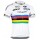 2015 Specialized Quick Step Fahrradtrikot Radsport BHB51