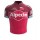 2017 Katusha Fahrradtrikot Radsport 7ZNET